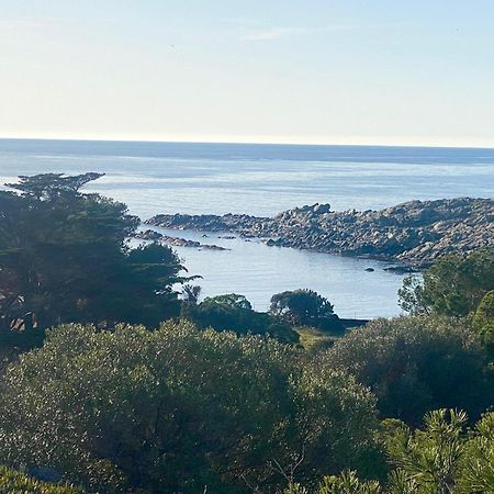 Maison De Pecheur Superbe Vue Mer, Grand Jardin Cadaqués Εξωτερικό φωτογραφία