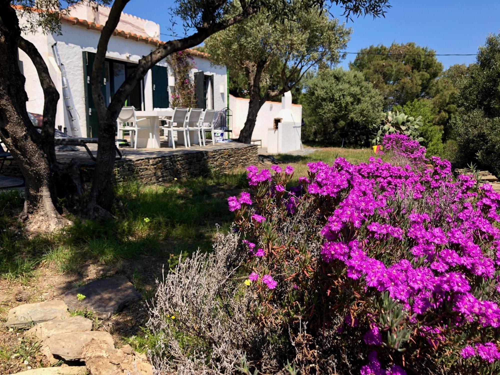 Maison De Pecheur Superbe Vue Mer, Grand Jardin Cadaqués Εξωτερικό φωτογραφία